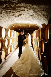 20120204wineyard_wedding007