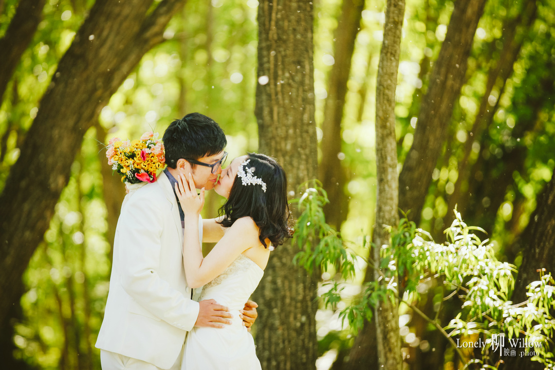 20131118tonyguo_trees0040