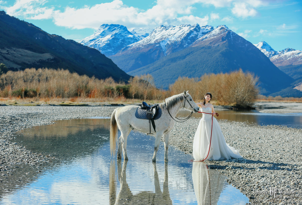 20140914bessie_horse0062