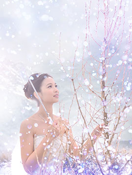 新西兰梦幻雪景