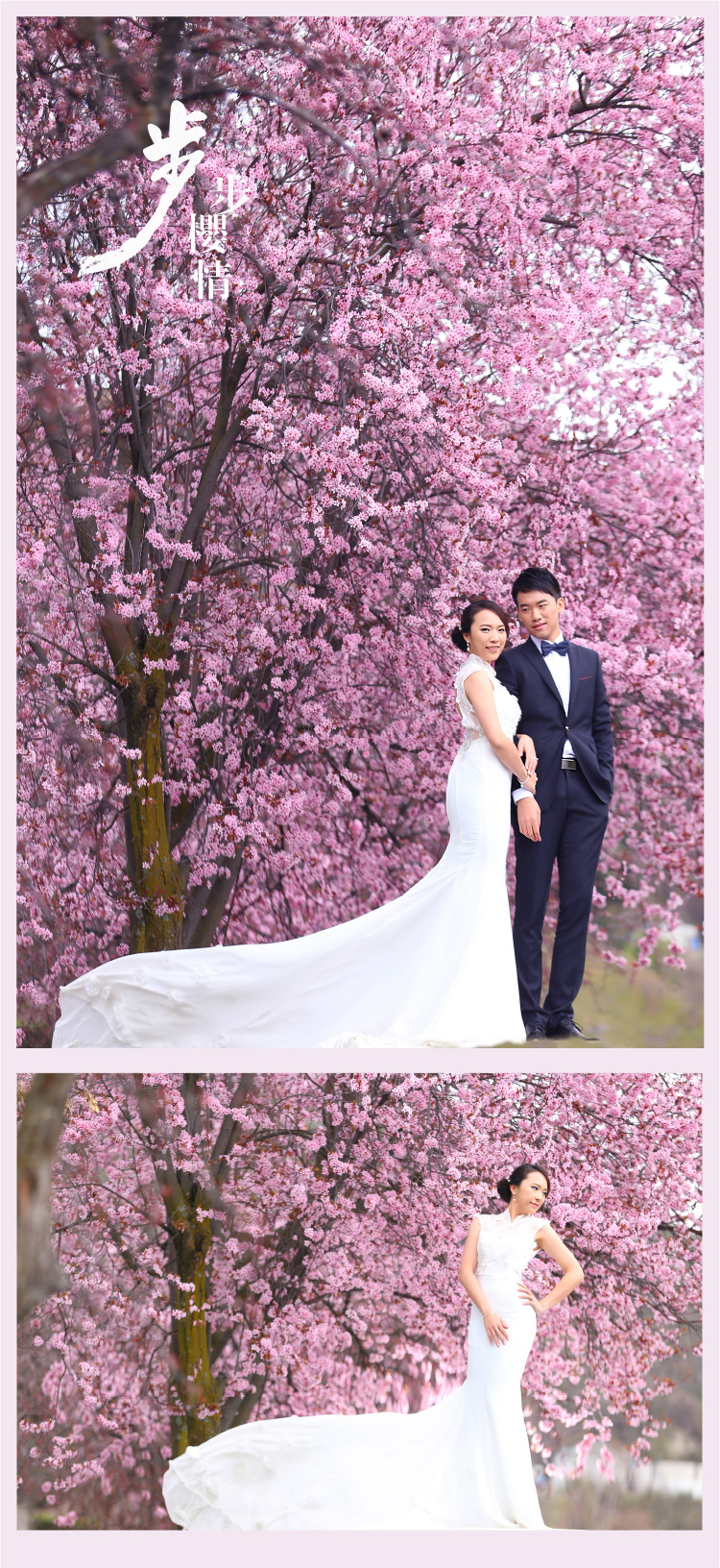 stepstep_kamachenwebdesign-5