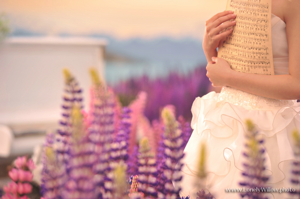 20121127tekapolupinspiano-0001