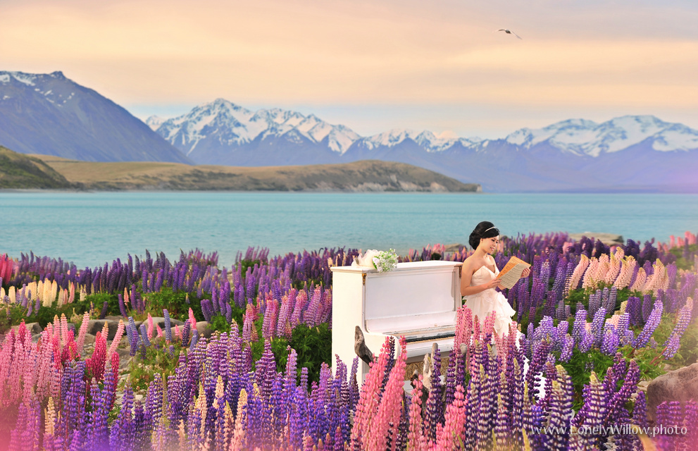 20121127tekapolupinspiano-0002