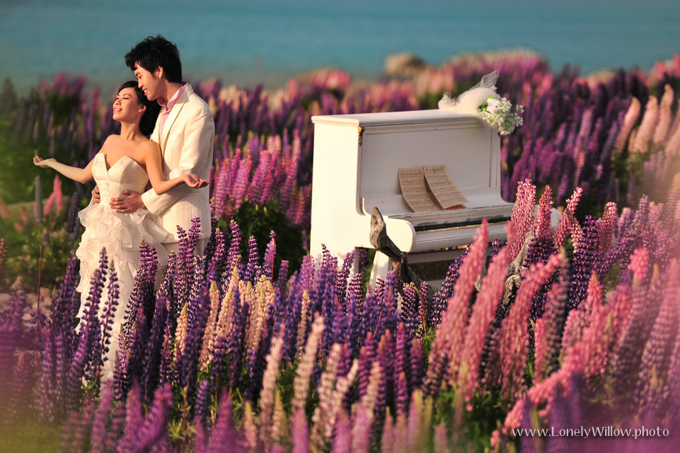 20121127tekapolupinspiano-0008