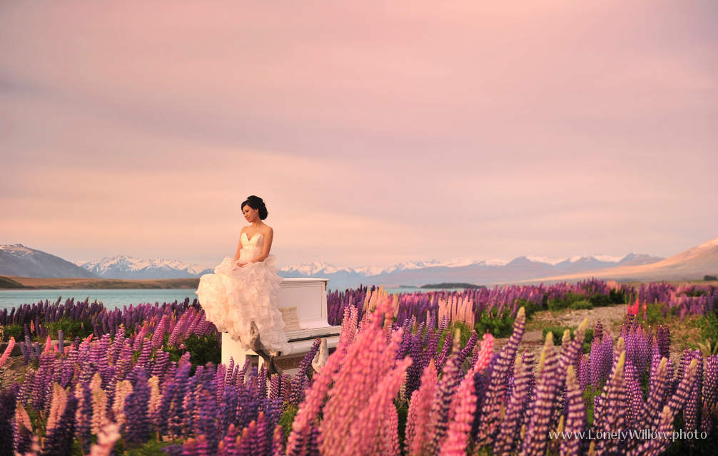 20121127tekapolupinspiano-0012