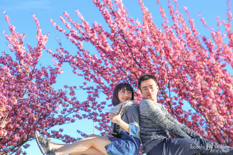 20151017wing_flowers054