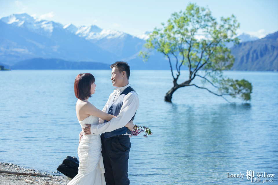 20151018wing_willow017