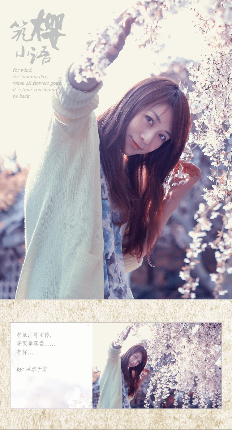 cocosakura_webdesign-2