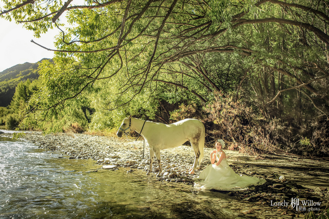 20150215billy_horse0076