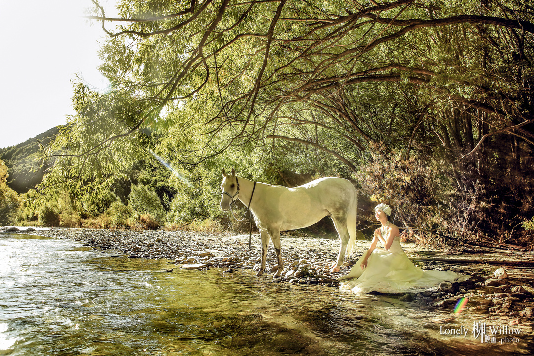 20150215billy_horse0077