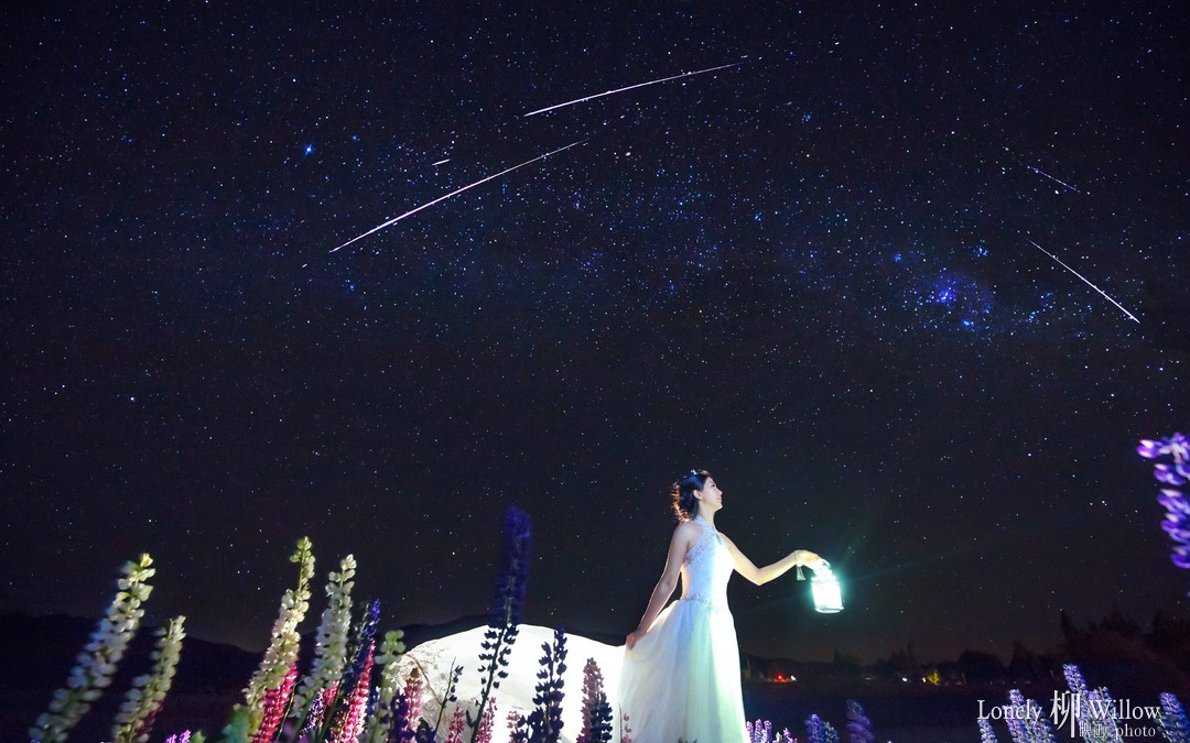 20151203xiaohaibei_lupins302