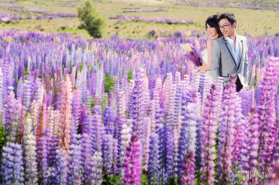 20101208Anita_choice0031