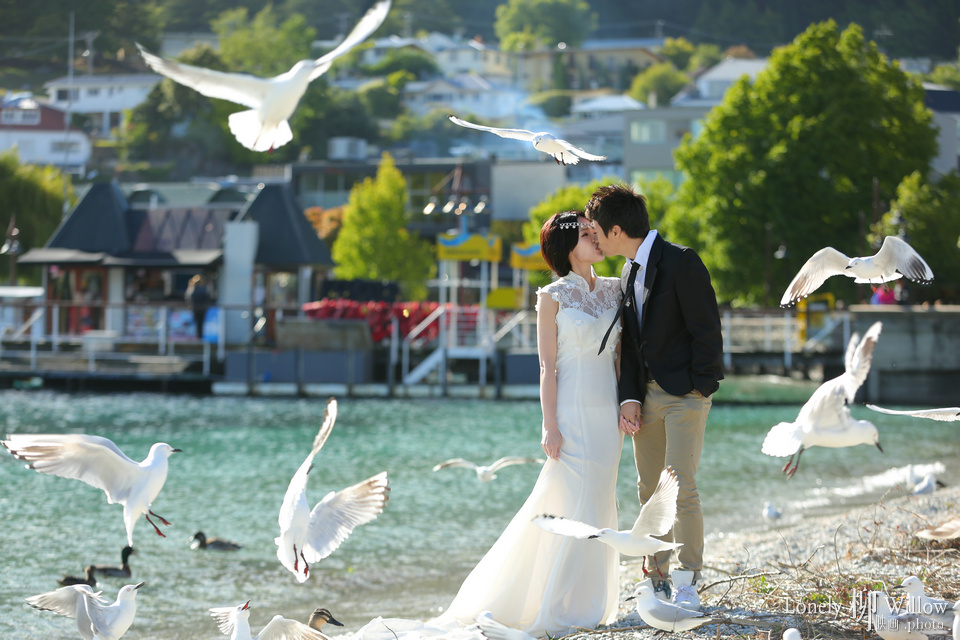 20141201ariel_birds0007