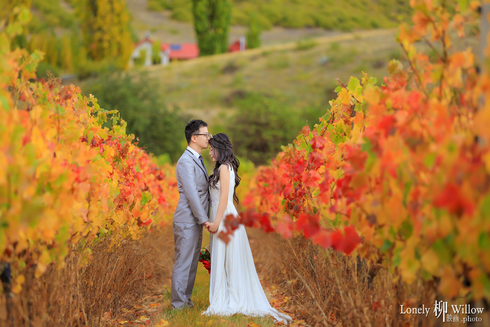 20150406max_grapes0036