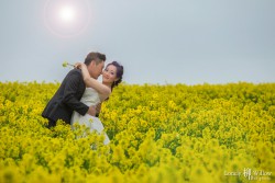 20151116doudoucha_flower_0022