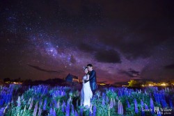 20151116doudoucha_stars012