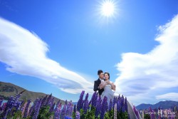 20151116doudoucha_tekapo143