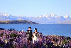 20151116doudoucha_tekapo_0004