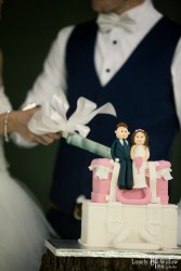 20160205brendon_cake0002