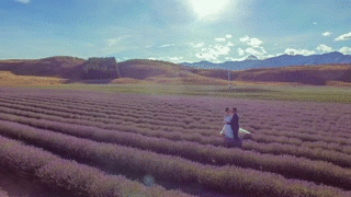 aerialsample_lavendar