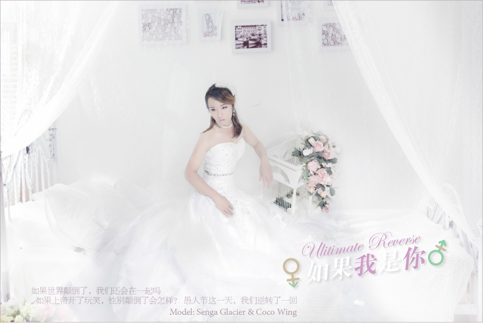 sexreverse_webdesign0006