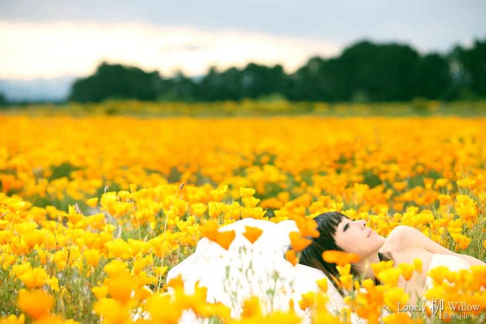 20111014thoseflowers0011