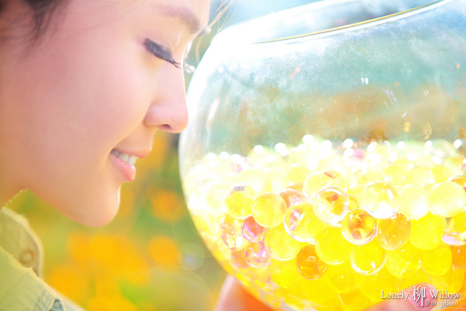 20111111coloursinmemery0002