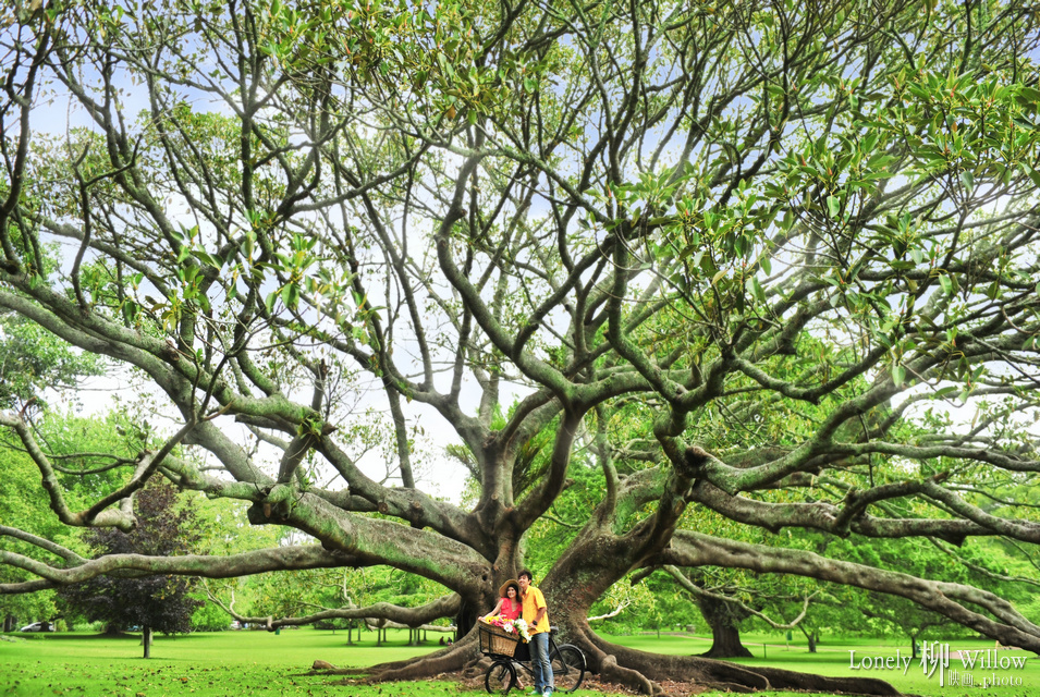 20120114summerafternoon0002