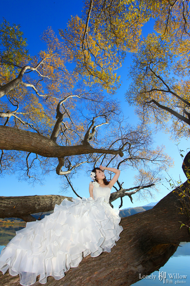 20120503lakehayestree_coco0018