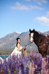 20121127lavita_lupins+horse029