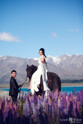 20121127lavita_lupins+horse101