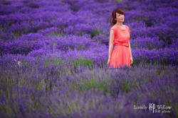 20121227lavendarfairy0004