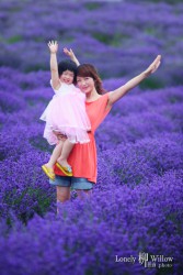 20121227lavendarfairy0009