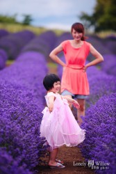 20121227lavendarfairy0012