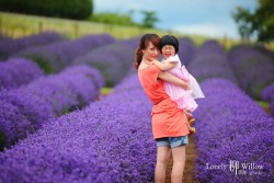 20121227lavendarfairy0023