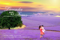 20121227lavendarfairy0029