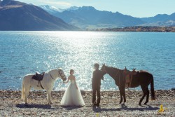 20140429wilsonwang_horses0051