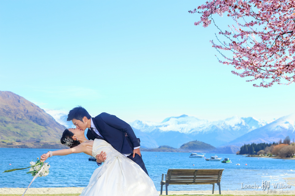 20140910zhonghengwang_sakura0042