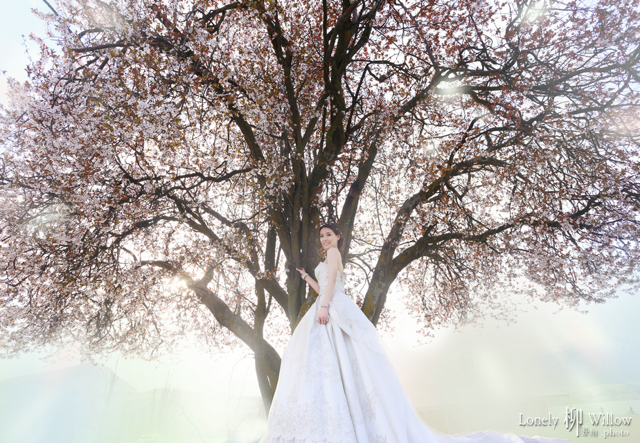 20140910zhonghengwang_sakura0090