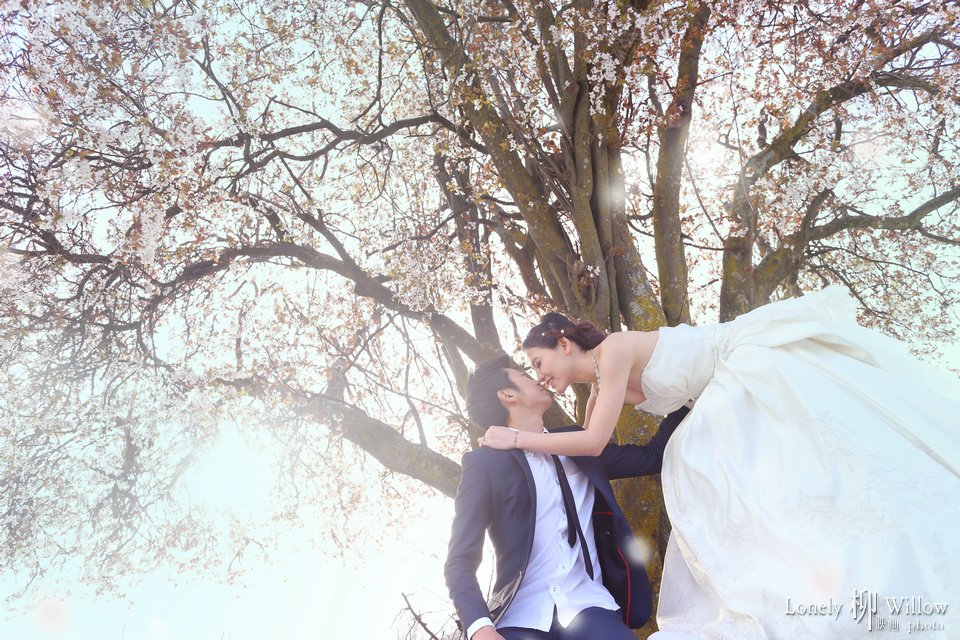 20140910zhonghengwang_sakura0107