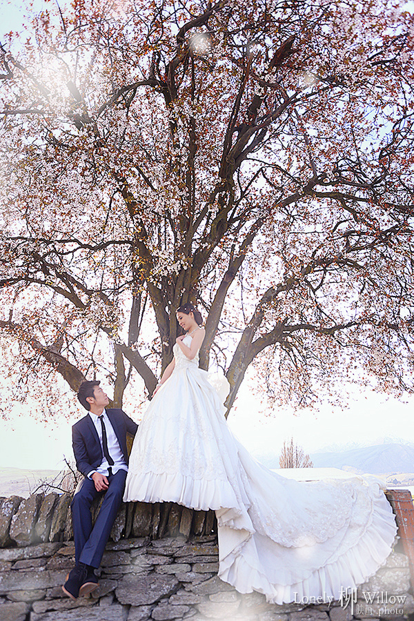 20140910zhonghengwang_sakura0117