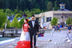 20141120junpeng_birds0005