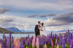 20141120junpeng_lupins0035