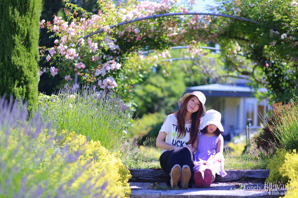 20150112cocolavendar0003