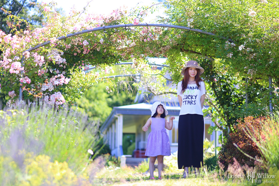 20150112cocolavendar0014