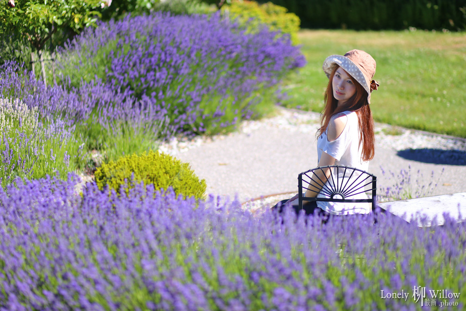 20150112cocolavendar0031