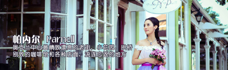 Parnell Village 奥克兰的老街