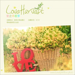 loveharvest01