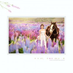 悠悠风，细细看