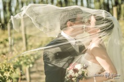 20111119jameselena_choice0021